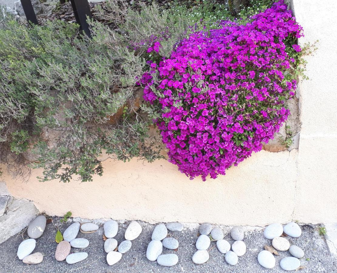 Lou Mas Dau Paigran Bed & Breakfast Saint-Blaise  Exterior photo