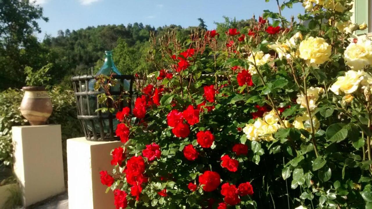 Lou Mas Dau Paigran Bed & Breakfast Saint-Blaise  Exterior photo