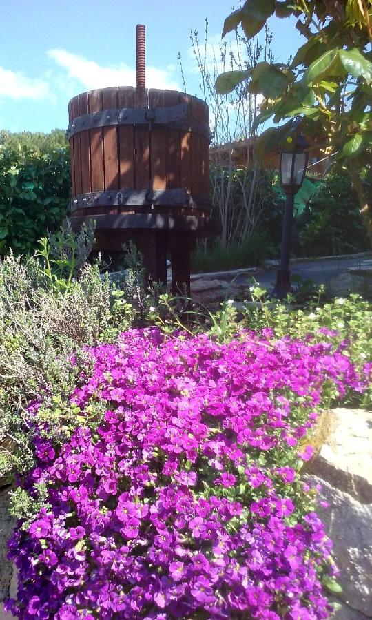 Lou Mas Dau Paigran Bed & Breakfast Saint-Blaise  Exterior photo